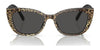 Dolce&Gabbana DX4427 Sunglasses | Size 49 / Black On Zebra / Dark Grey (3N 10%) №337287