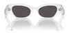 Dolce&Gabbana DX6003 Sunglasses | Size 48 / Black / Dark Grey (3N 9.9%) №501/87