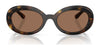 Dolce&Gabbana DX6007U Sunglasses | Size 49 / Havana / Dark Brown (3N 9%) №502/73