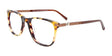 EasyClip EC555 Eyeglasses Demi Amber & Matt Brown EasyClip EC555 Eyeglasses Demi Amber & Matt Brown