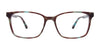 EasyClip EC564 Eyeglasses with Clip-on Sunglasses | Size 55 / Brown/Gold