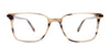 EasyClip EC611 Eyeglasses with Clip-on Sunglasses | Size 53 / Havanna Amber