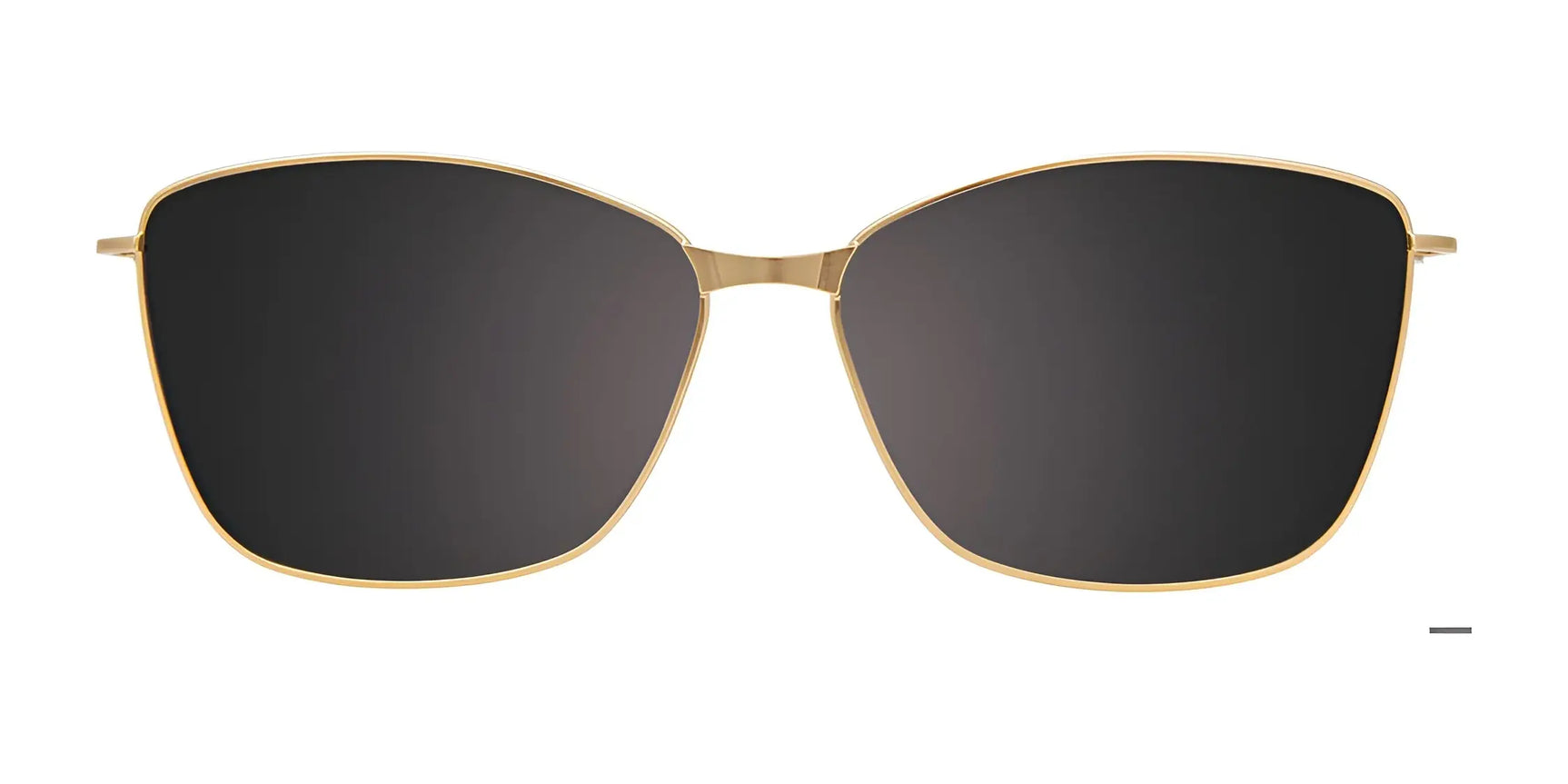 Easyclip EC615 Eyeglasses with Clip-on Sunglasses | Size 55 Easyclip EC615 Eyeglasses with Clip-on Sunglasses | Size 55