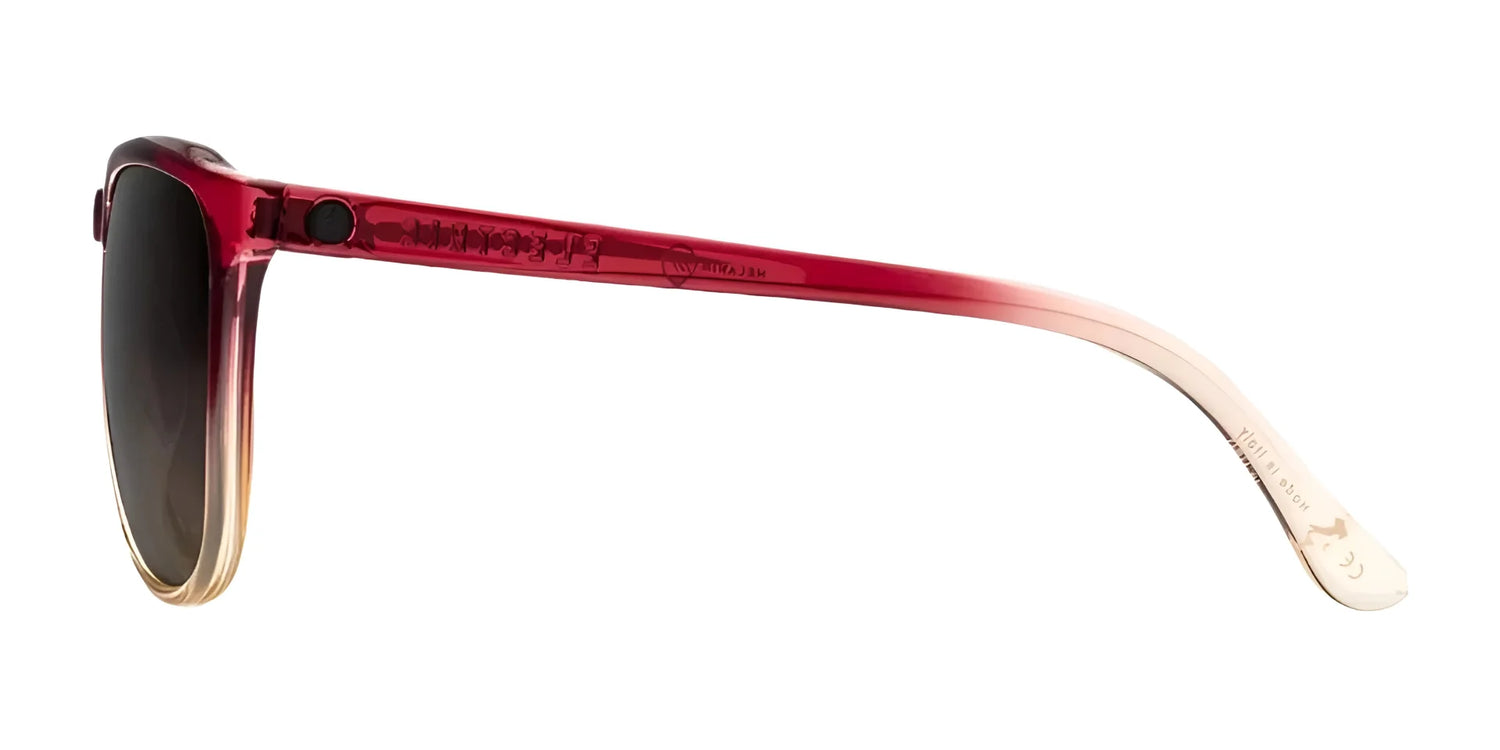 Electric Encelia Sunglasses | Size 58 Electric Encelia Sunglasses | Size 58