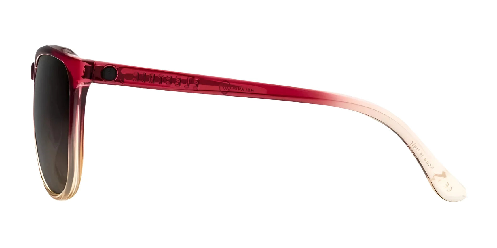 Electric Encelia Sunglasses | Size 58 Electric Encelia Sunglasses | Size 58