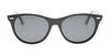 Fatheadz BURST Sunglasses / Black / Smoke