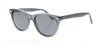 Fatheadz BURST Sunglasses / Trans Grey / Smoke