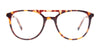 iCHILL C7043 Eyeglasses | Size 50 / Demi Blue/Satin Silver
