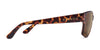 Kaenon EL CAP Sunglasses | Size 57 / Matte Tortoise / Brown 12