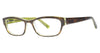 Ogi 3107 414 Tortoise Green Clear / Tortoise / Green