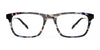 OGI CERTAINLY Eyeglasses | Size 56 / Green Tortoise Stripe