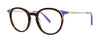 OGI Hugs Eyeglasses / Tortoise / Blue / Gold / Size 46