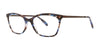 OGI OUT N ABOUT Eyeglasses | Size 51 / Blue Tortoise/Brown