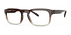 OGI REMOTE START Eyeglasses | Size 55 / Brown Gold Fade