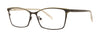 OGI Up North Eyeglasses / Black / Size 53