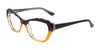 Paradox P5001 Eyeglasses | Size 52 / Dark & Light Brown & Crystal
