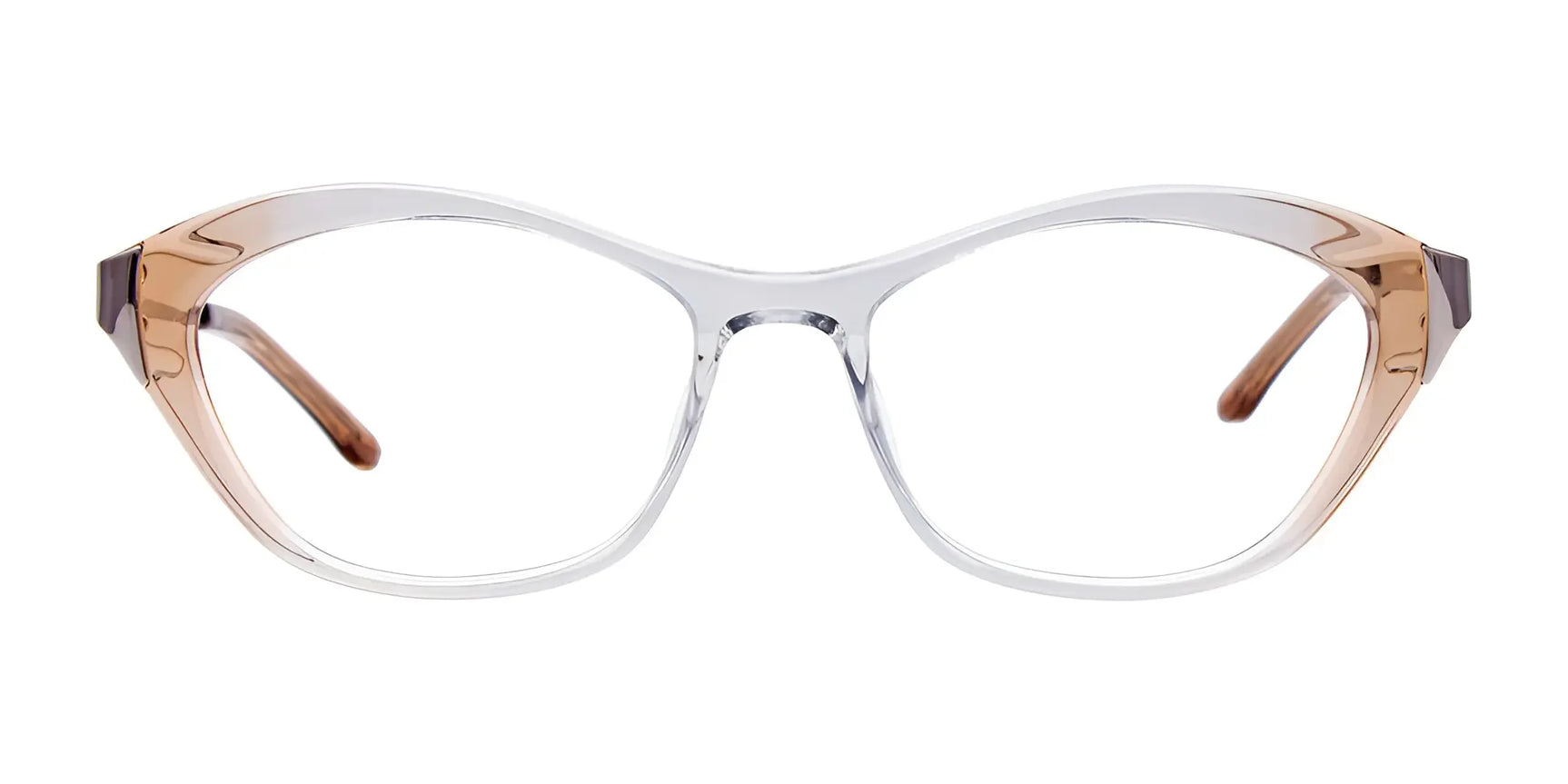 Paradox P5070 Eyeglasses | Size 52 by Paradox, full-rim frame with transparent brown temple accents, displayed front view on a white background. Paradox P5070 Eyeglasses | Size 52 by Paradox, full-rim frame with transparent brown temple accents, displayed front view on a white background.