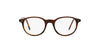 Polo PH2047 Eyeglasses | Size 48 / Shiny Brown On Yellow Havana