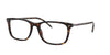 Polo PH2224 Eyeglasses | Size 56 / Shiny Dark Havana