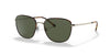 Polo PH3134 Sunglasses | Size 53 / Shiny Pale Gold / Bottle Green (3N 9.7%)