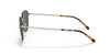 Polo PH3134 Sunglasses | Size 53 / Shiny Pale Gold / Bottle Green (3N 9.7%)