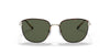 Polo PH3134 Sunglasses | Size 53 / Shiny Pale Gold / Bottle Green (3N 9.7%)