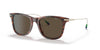 Polo PH4179U Sunglasses | Size 52 / Shiny Striped Havana / Brown (3N 14.5%)