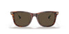 Polo PH4179U Sunglasses | Size 52 / Shiny Striped Havana / Brown (3N 14.5%)
