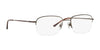Polo PH1001 Eyeglasses | Size 53 / Brown №9011