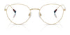 Polo PH1208 Eyeglasses | Size 51 / Shiny Dark Gunmetal №9157