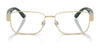Polo PH1239 Eyeglasses / Brushed Gunmetal №9266 / Size 55