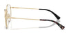 Polo PH1241 Eyeglasses / Brushed Silver №9088 / Size 48