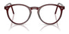 Polo PH2083 Eyeglasses / Havana №5007 / Size 46