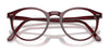 Polo PH2083 Eyeglasses / Havana №5007 / Size 46