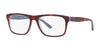Polo PH2211 Eyeglasses | Size 55 / Havana/Azure/Transparent Azure №5786