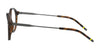Polo PH2219 Eyeglasses | Size 50 / Shiny Black On Jerry Tortoise №5260