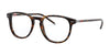 Polo PH2225 Eyeglasses | Size 52 / Shiny Dark Havana №5003