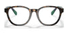 Polo PH2228 Eyeglasses | Size 52 / Dark Havana №5003