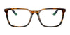 Polo PH2234 Eyeglasses | Size 54 / Shiny Jerry Havana №5017