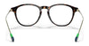 Polo PH2241 Eyeglasses | Size 50 / Shiny Dark Havana №5003
