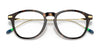 Polo PH2241 Eyeglasses | Size 50 / Shiny Dark Havana №5003