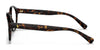 Polo PH2243 Eyeglasses | Size 50 / Shiny Dark Havana №5003