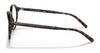 Polo PH2246F Eyeglasses | Size 50 / Shiny Dark Havana №5003