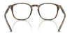 Polo PH2254F Eyeglasses | Size 51 / Shiny Jerry Havana №5017