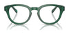 Polo PH2262 Eyeglasses / Shiny Transparent Brown №6086 / Size 48