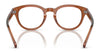 Polo PH2262 Eyeglasses / Shiny Transparent Brown №6086 / Size 48