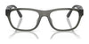 Polo PH2263U Eyeglasses / Shiny Havana Brown №5974 / Size 55