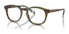 Polo PH2267F Eyeglasses | Size 50 / Shiny Brown Tortoise №5017