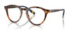 Polo PH2268 Eyeglasses / Shiny Red Havana №5303 / Size 49