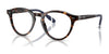Polo PH2268 Eyeglasses / Shiny Dark Havana №5673 / Size 49